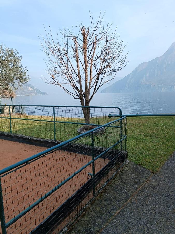 Studio Zu - Lakeside Apartment Riva di Solto Exterior photo
